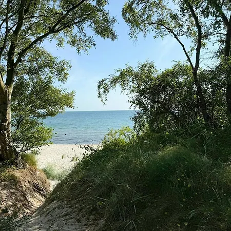 By Forest And On Bornholm